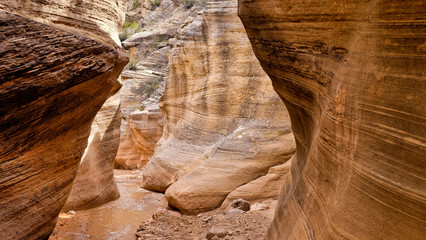 Willis Creek Slot Canyon in the Grand Staircase, Escalante..  A hiker friendly slot canyon in Utah formed from Navajo sandstone.