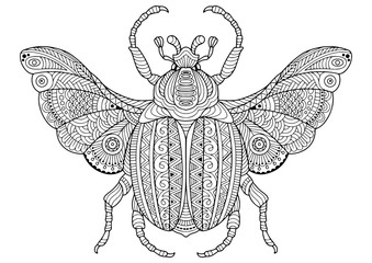 Coloring book for adult. Vector black and white image of a bug on white background. Hand drawn contour-outline insect © Nataliia