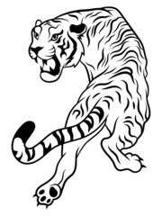 Illustration of a tiger. Portrait of a wild crouching cat. The picture of a predator. Vector illustration on a white background. Tattoo.