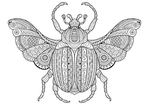 Coloring book for adult. Vector black and white image of a bug on white background. Hand drawn contour-outline insect