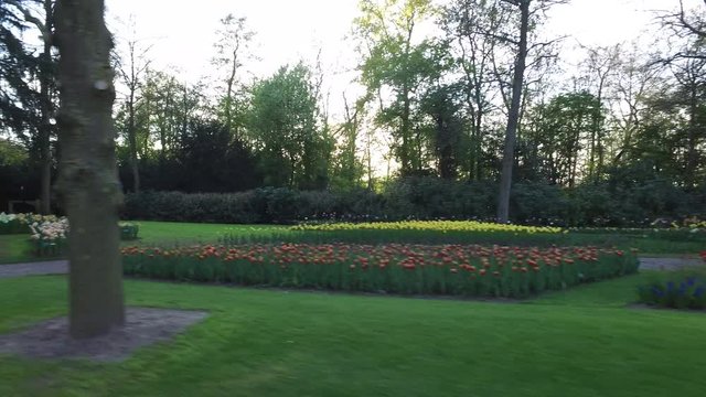 Keukenhof in holland with al lot of tulps