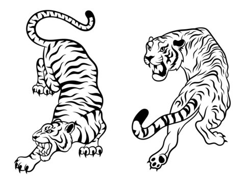 Tiger Line Art Images – Browse 28,059 Stock Photos, Vectors, and Video |  Adobe Stock