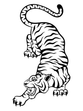 Tiger Line Art Stock Vector by ©koratmember 32748911