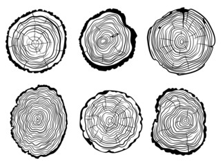Set of Tree slice. Collection of cut tree trunk. Industrial wood.Vector illustration on a white background.