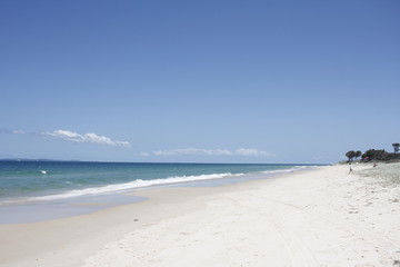 Fototapeta na wymiar Tropical beach turquoise water in summer day. Bribie island. Australia 