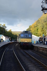 Fototapeta premium Diesel Train