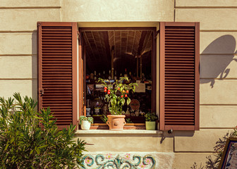 An open bar window with shutters and a chilli plant soaking up the hot afternoon sun on the window sill, Numana, Italy