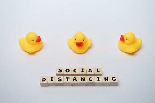 Yellow rubber ducks with social distancing word written on wood block isolated over white background. Virus outbreak prevention using unique rubber duck concept. 