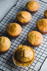 Freshly Baked Corn Muffins Group Shot