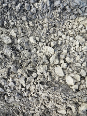 black soil plowed on the field