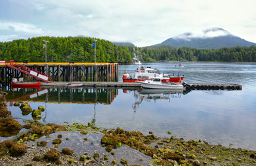Fototapeta na wymiar Boats moored to a wooden pier in a beautiful bay against the backdrop of amazing mountains, Ucluelet, Vancouver Island.