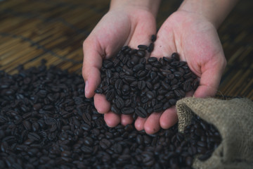 coffee beans in the hands