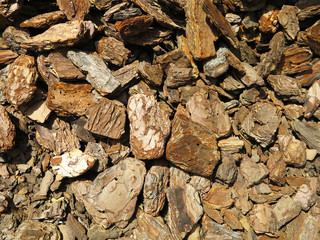  chopped bark of tree scattered for background 