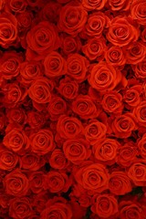  Bouquet 101 red roses marriage proposal