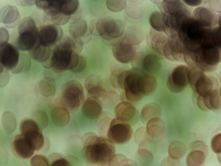 concept covid-19 virus, corona virus illustration background
