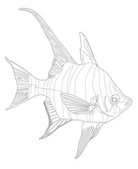 realistic aquarium fish line drawing illustration