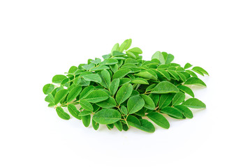 Fototapeta na wymiar Fresh moringa leaf on white background