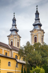 Fototapeta na wymiar Church of the Assumption, Miskolc, Hungary