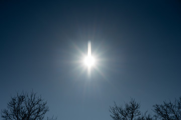 Strahlende Sonne über den Baumwipfeln