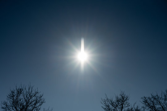 Strahlende Sonne &uuml;ber den Baumwipfeln