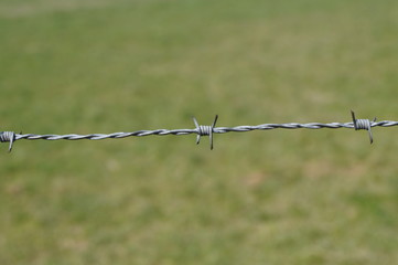 Stacheldraht