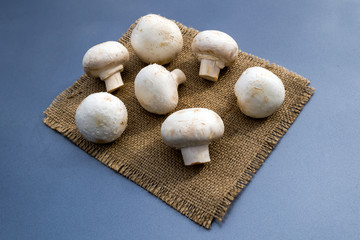 A lot of porcini mushrooms on a napkin.