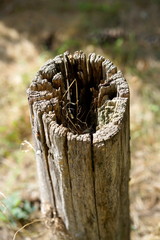 Verwittwerter Holzzaun