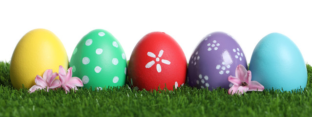 Colorful Easter eggs and flowers on green grass against white background