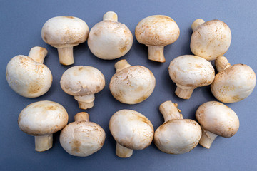 White mushrooms champignon