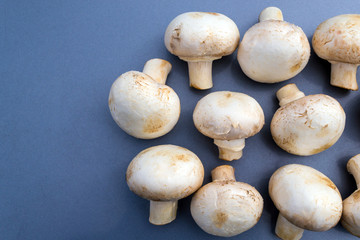 White mushrooms champignon