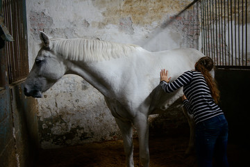 The old stable in the village. Girl brushing her horse