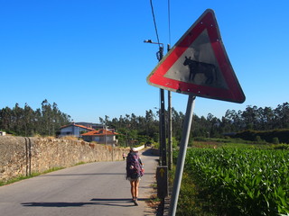 An animal warning sign on the road to Santiago de Compostela, Camino de Santiago, Way of St. James,...