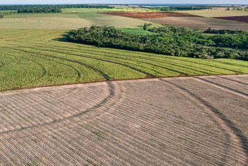 Aerial view of agricultural mosaic with field cultivated for grain production and native forest in southern Brazil