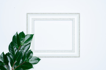 Green leaves with white photo frame on white background. Flat lay, top view, space.