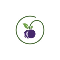 blueberry vector illustration design