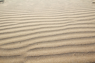 Sandy beach in Valencia, Spain