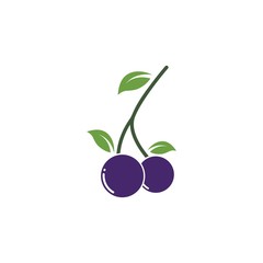 blueberry vector illustration design