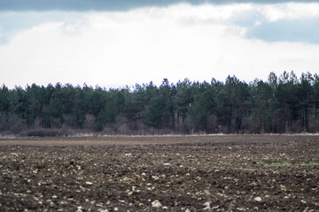 Freshly plowed virgin field, natural background with trees on the back, forest, soil for planting, agricultural field, meadow
