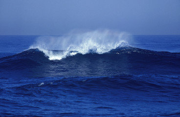 Fototapeta premium WAVE IN PACIFIC OCEAN, CALIFORNIA .