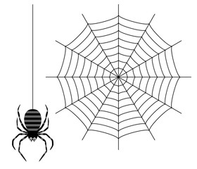 黒いクモと蜘蛛の巣