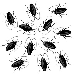 黒いゴキブリの集団