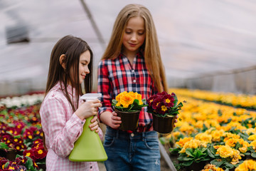 Fototapeta premium Girls watering flowers in the garden