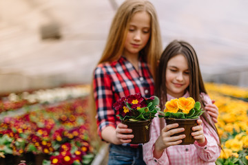 Fototapeta na wymiar two little girls are looking at flowerpot in flower center