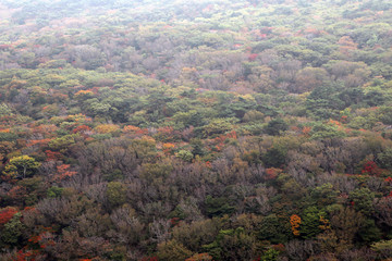 Fototapeta premium Hallsan in fall