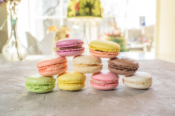 Macarons on a concrete background. Isolates. Multi-colored. Beautiful background.
