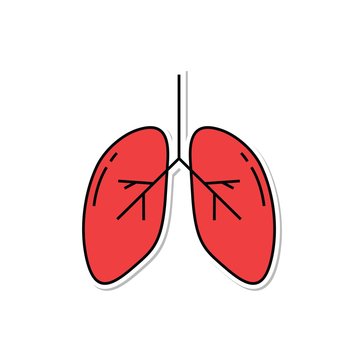 Lung symbol design. healthy lung flat design.