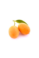 Marian plum, plum mango on white background