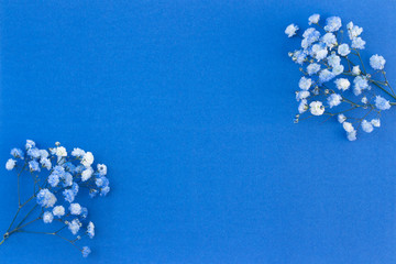 Bouquet of white-blue gypsophila flowers. Place for your text, copy space, mock up. Beautiful...