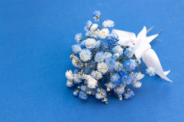 Bouquet of white-blue gypsophila flowers. with a white bow on a blue background.