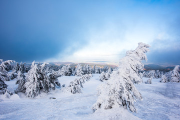 Fototapeta na wymiar Harz Brocken im Winter Aussicht